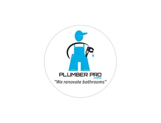 plumber pro tauranga bathroom renovation home renovators upgrade