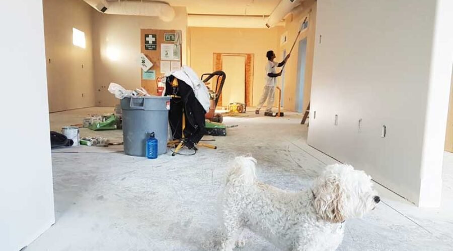 6 Things To Do When You Hire A Tradie in New Zealand