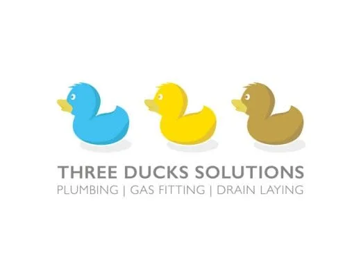 Three Ducks Solutions